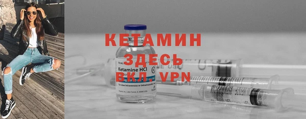 крисы Алексин