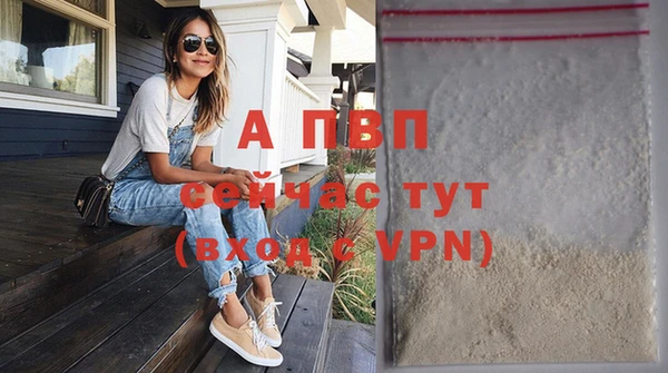 индика Майский