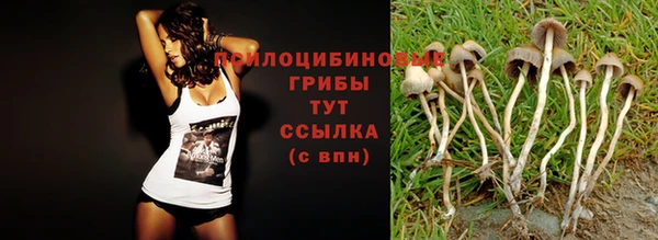 винт Алзамай