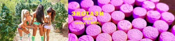 крисы Алексин