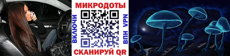 купить   Староминская  Псилоцибиновые грибы мицелий 